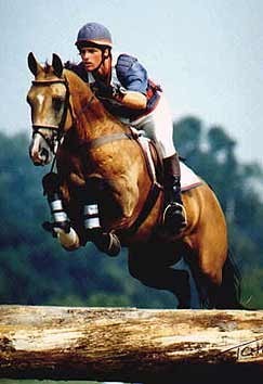 Obrazek